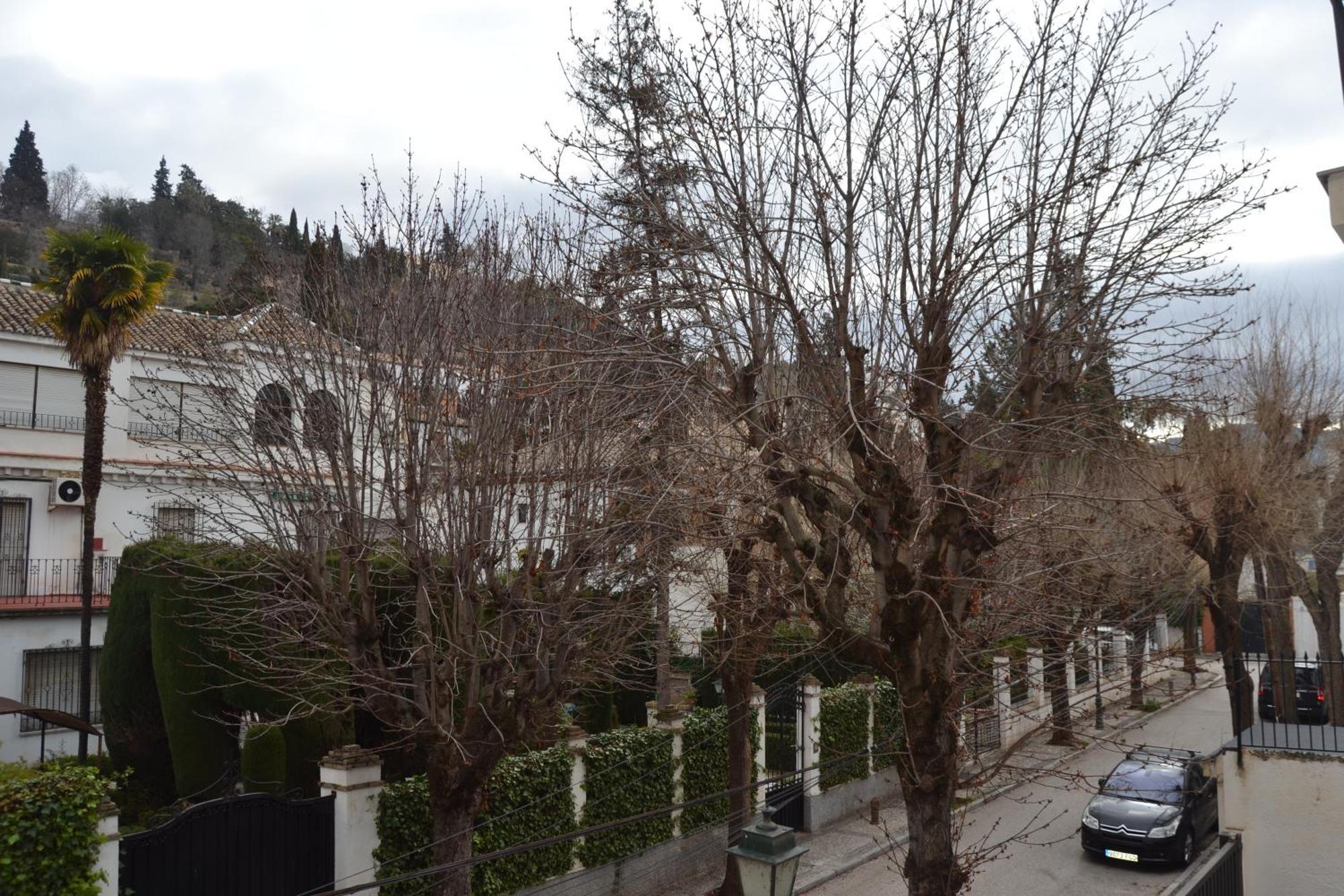 Carmen Del Cadi Lägenhet Granada Exteriör bild