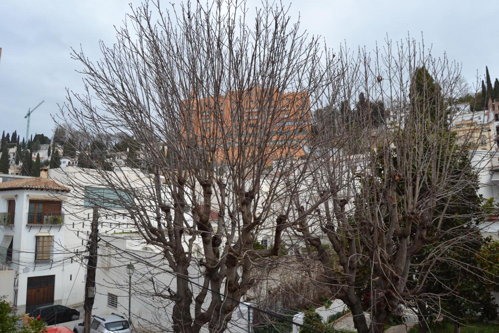 Carmen Del Cadi Lägenhet Granada Exteriör bild